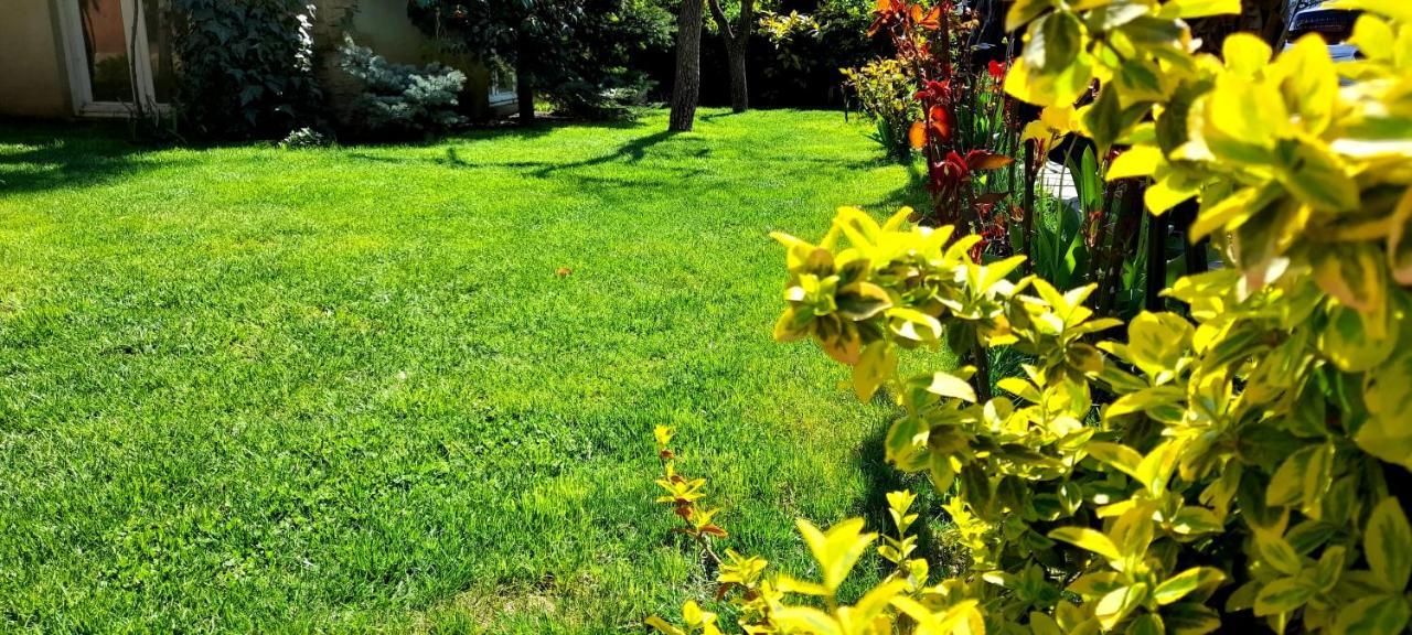 טביליסי Green Garden מראה חיצוני תמונה