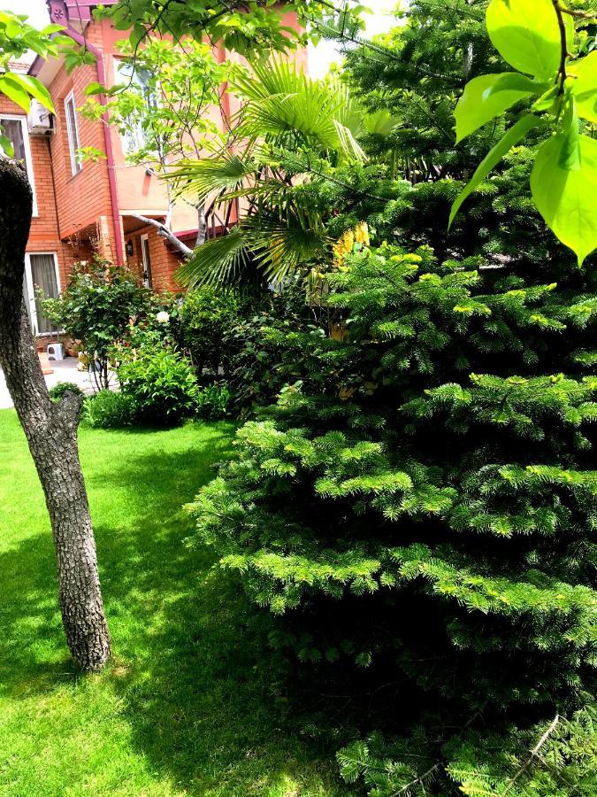 טביליסי Green Garden מראה חיצוני תמונה